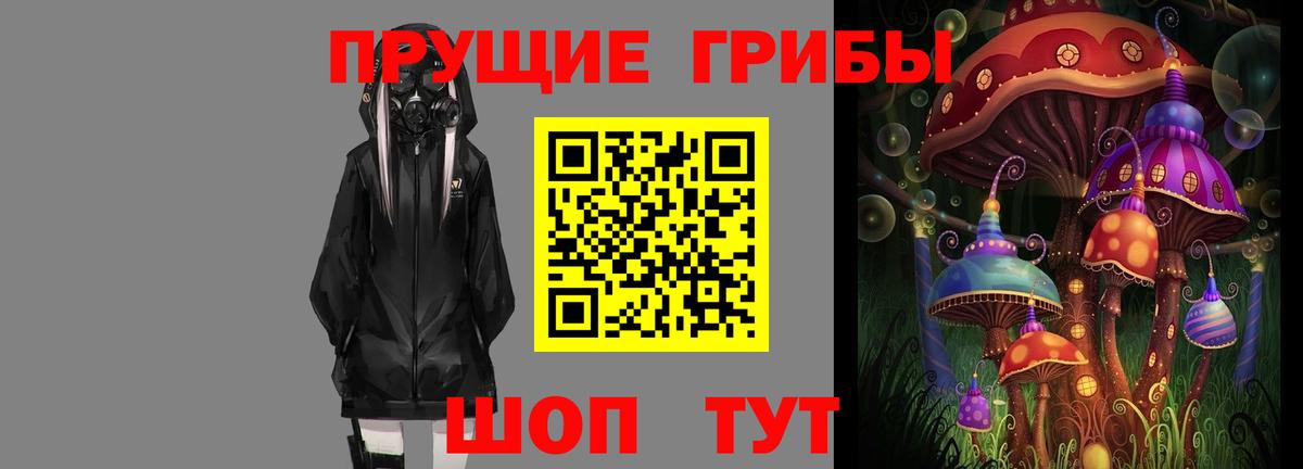 Нальчик  Псилоцибиновые грибы Psilocybe  купить закладку  Вход с VPN 